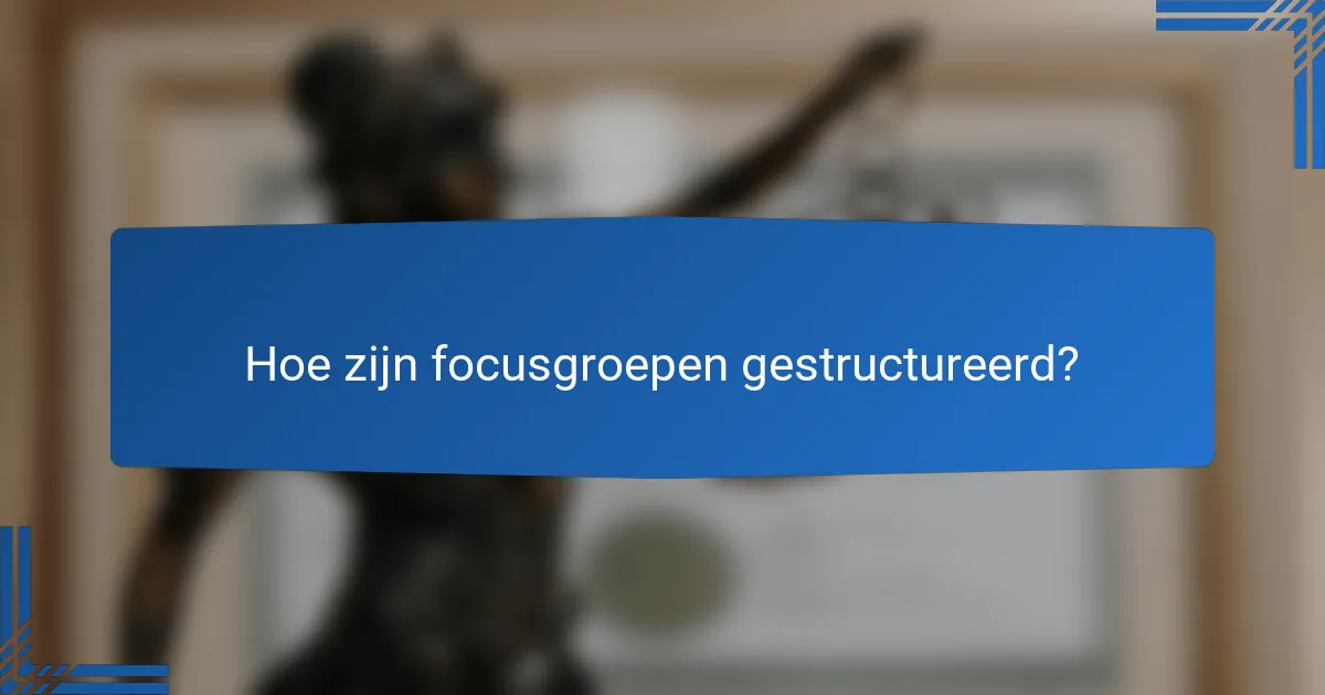 Hoe zijn focusgroepen gestructureerd?
